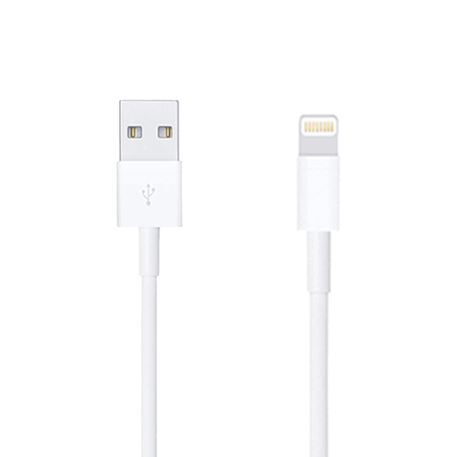 Apple Câble USB vers Lightning