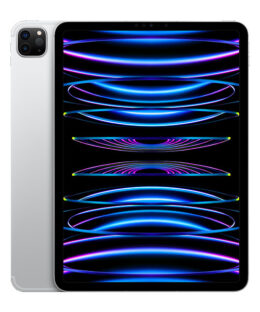 Réparation Apple iPad Pro 11 pouces (4e génération)